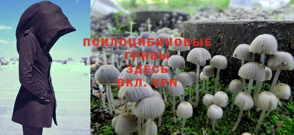 гидра Белоозёрский