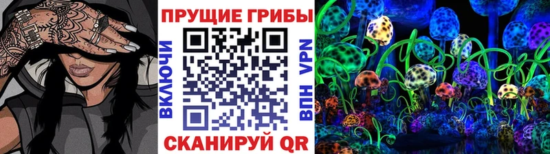 цена наркотик  Каспийск  блэк спрут ССЫЛКА  Псилоцибиновые грибы Cubensis 
