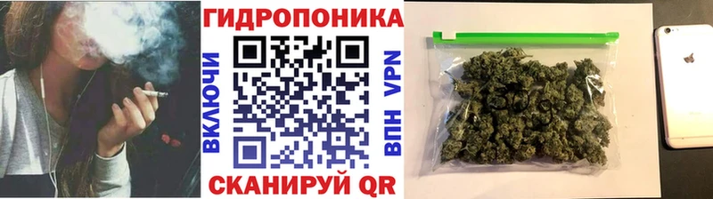 как найти наркотики  Каспийск  blacksprut ССЫЛКА  Бошки марихуана планчик 